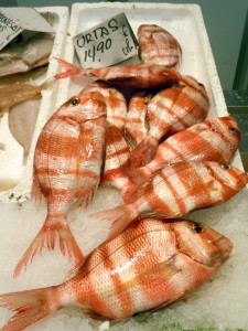 Urta - a local fish
