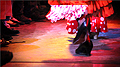 Flamenco Caves