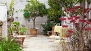 Sevilla Ferienwohnung - Terrace decorated with plants and garden furniture.