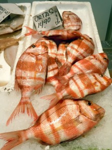 Urta - a local fish