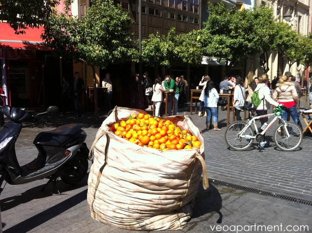 orange harvest