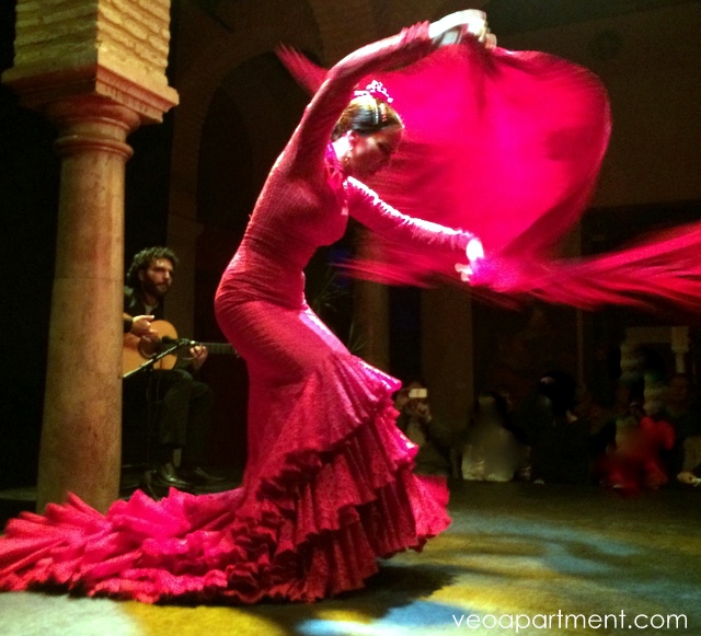 local flamenco