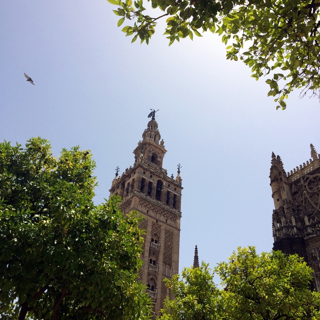 cathedral giralda