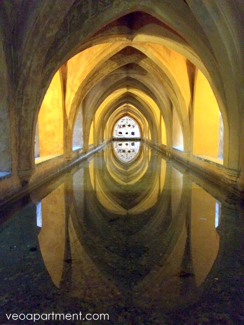 tourist in sevilla (4)