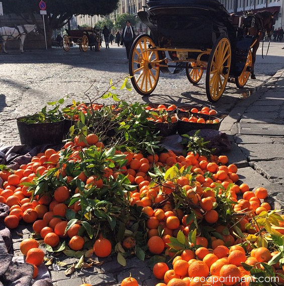 orange harvest