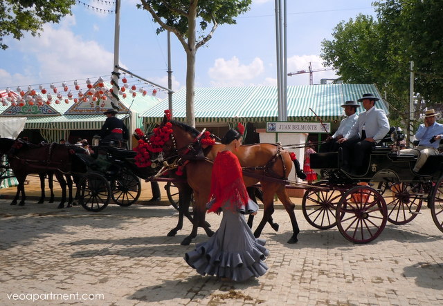 feria horses