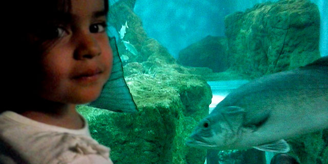 Aquarium Seville
