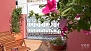 Sevilla Ferienwohnung - The roof-terrace is equipped with a watering system for the plants.