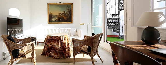 Seville rental apartment Plaza Nueva Terrace | Penthouse with private terrace 0046