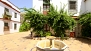 Sevilla Ferienwohnung - The apartment is set around a courtyard with a fountain.