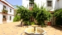 Seville Apartment - The apartment is set around a courtyard with a fountain.