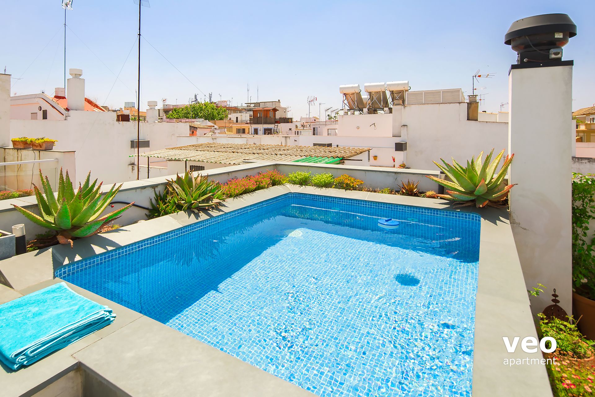 0196_teodosio terrace seville pool apartment 46