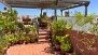 Seville Apartment - View of the upper terrace.