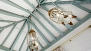 Seville Apartment - High ceilings with exposed wooden beams.