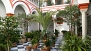 Seville Apartment - Courtyard of the house decorated with plants and flower pots.