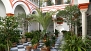 Séville Appartement - Courtyard of the house decorated with plants and flower pots.