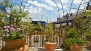 Seville Apartment - Private terrace with potted plants.