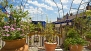 Sevilla Ferienwohnung - Private terrace with potted plants.