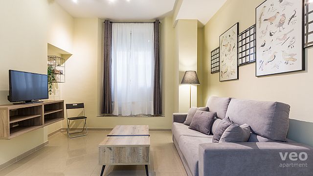 Rent vacacional apartment in Sevilla Calle Ensenada Sevilla