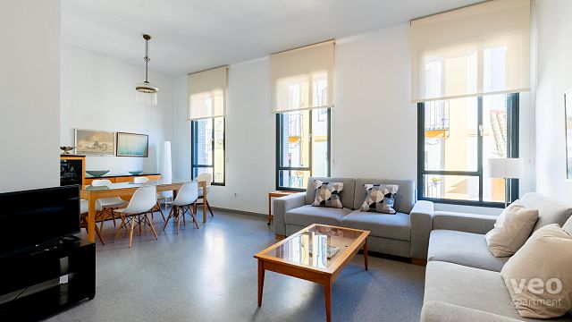 Rent vacacional apartment in Sevilla Calle San Vicente Sevilla