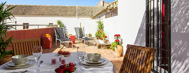 Apartamentos en Sevilla Alameda Terraza 1 | Apartamento de 1-dormitorio con amplia terraza 0938