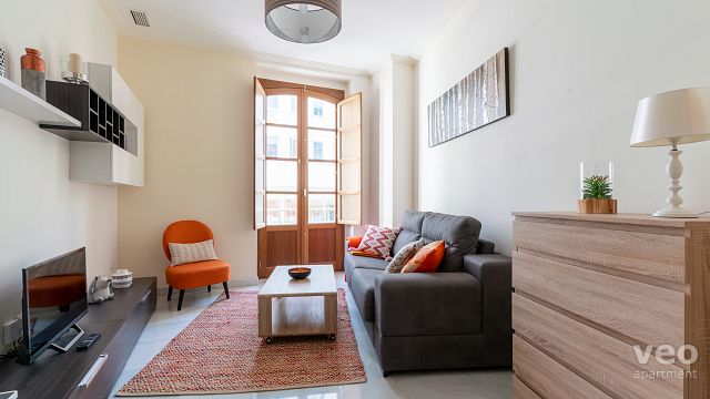Rent vacation apartment in Seville Zaragoza Street Seville